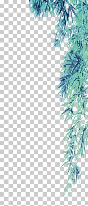 Bamboo Green PNG