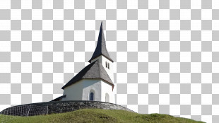 Steeple M-tree Tree PNG