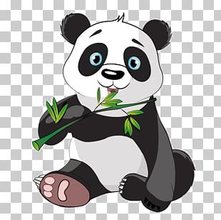 Giant Panda Bear Red Panda PNG, Clipart, Animals, Bear, Black And White ...