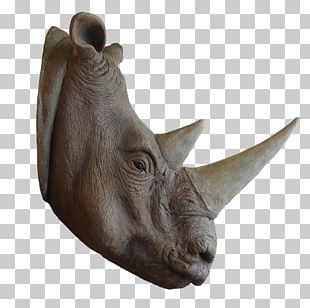 Horn Rhinoceros Antler PNG, Clipart, Antler, Clip Art, Deer, Desktop ...