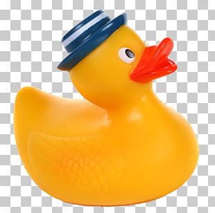 Rubber Duck PNG, Clipart, Rubber Duck Free PNG Download