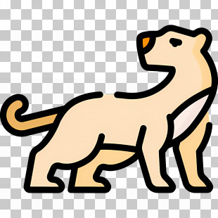 Cougar - Standing Cougar Illustration PNG