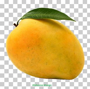 badam png images badam clipart free download imgbin com