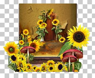 Floral Design Cut Flowers Still Life Photography PNG
