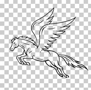 Horse Pegasus Drawing PNG