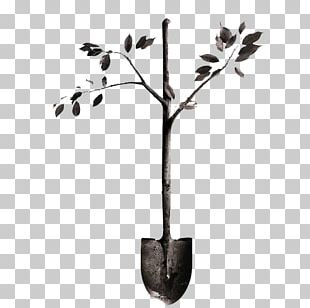 U5b9eu9a8cu7d20u63cf Drawing Creativity PNG