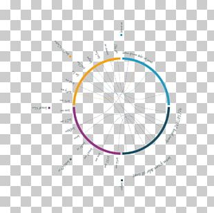 Circle Brand Diagram PNG
