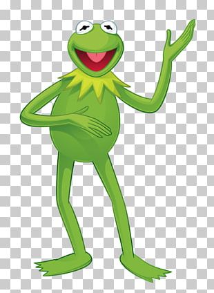 Kermit The Frog Miss Piggy Gonzo Animal PNG, Clipart, Amphibian, Animal ...