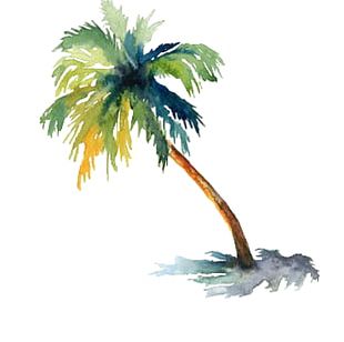 Watercolor Painting Arecaceae Drawing Tree PNG