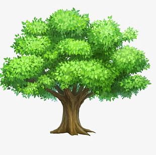 Trees PNG, Clipart, Backgrounds, Botany, Branch, Branches, Deciduous ...