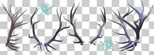 Elk Deer Antler Horn Feather PNG