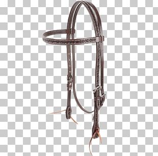 Horse Halter Bridle Rein Bit PNG, Clipart, Bit, Bridle, English Riding ...