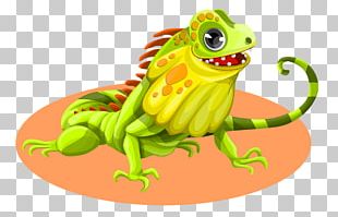 Reptile Common Wall Lizard Green Iguana PNG, Clipart, Agamidae ...