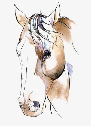 Download Watercolor Horse Png Images Watercolor Horse Clipart Free Download