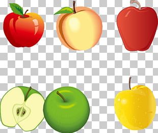Color Apple PNG