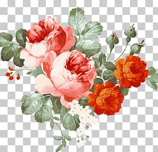 Watercolor Peony Flower Decoration PNG, Clipart, Card, Decoration ...