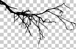 Tree Branch Silhouette PNG, Clipart, Arecaceae, Art, Artwork, Black And ...