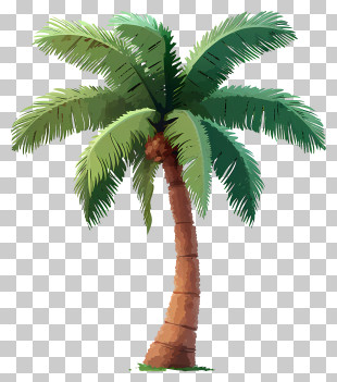 Flat Coconut Tree - Curved Palm Tree Illustration PNG