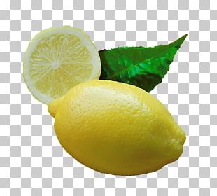 Juice Key Lime Lemon Persian Lime Essential Oil PNG, Clipart, Citric ...