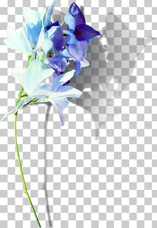 Floral Design Cut Flowers Flower Bouquet Purple PNG, Clipart, Clipart ...