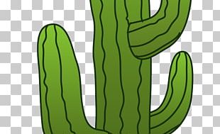 Cactaceae Cartoon Saguaro, Cartoon Cactus s, leaf, vertebrate png