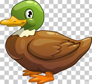 Rubber Duck Poster Cartoon PNG, Clipart, Advertising, Animals, Area ...