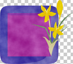 Frame Drawing Icon PNG, Clipart, Angle, Border, Border Frame, Border ...