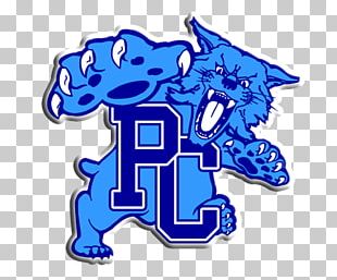 Kentucky Wildcats Football Kentucky Wildcats Women's Basketball Kentucky Wildcats Men's Basketball Kroger Field Arizona Wildcats Men's Basketball PNG