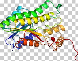 Line Organism PNG