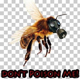Western Honey Bee Colony Collapse Disorder Neonicotinoid PNG