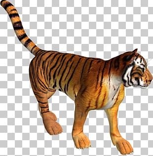 Lion Computer File PNG, Clipart, Animal, Animals, Big Cats, Carnivoran ...