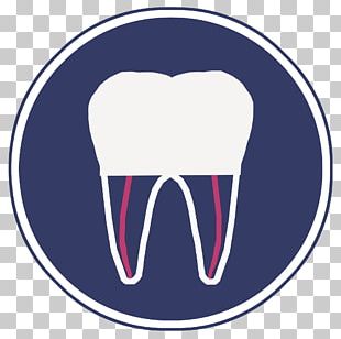 Tooth Root Canal Crown Pulp Endodontic Therapy PNG