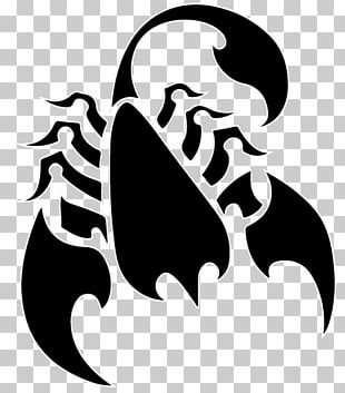 Scorpion Drawing PNG