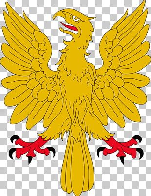 Bald Eagle Golden Eagle Flight Drawing PNG, Clipart, Bald Eagle ...