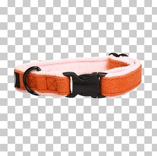 Dog Collar Clothing Accessories PNG