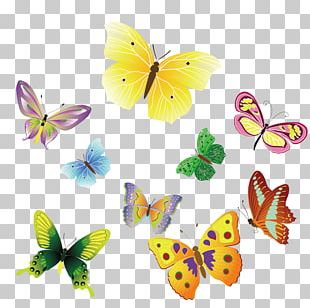 Butterfly Stock Illustration Color PNG, Clipart, Background, Bright ...