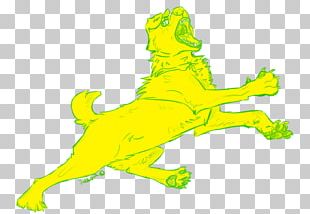 Frog Reptile Green PNG