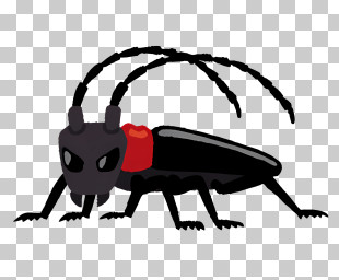 Bug - Creepy Crawly Insect PNG