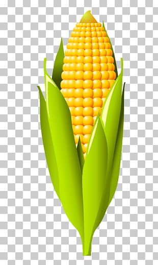 Corn On The Cob Cartoon Maize PNG, Clipart, Beak, Bird, Cartoon Corn ...