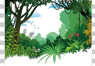 Tropical Rainforest Tropical Forest Jungle Tree PNG, Clipart, Biome ...