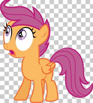 Pony Scootaloo Rainbow Dash Rarity Pinkie Pie PNG