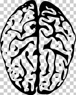 Human Brain Computer Icons Nervous System PNG, Clipart, Black And White ...