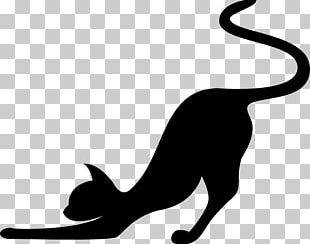 Black Cat Silhouette PNG, Clipart, Animals, Black, Black And White ...