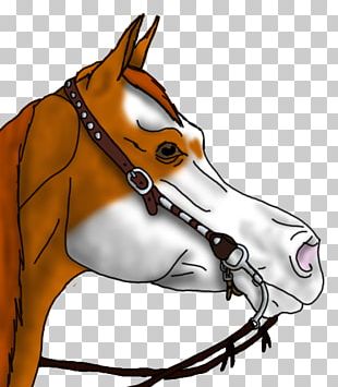 western horse head clipart