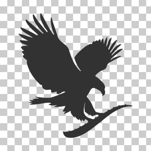 Eagles Logo - Silhouette Eagle Logo On Transparent Background PNG