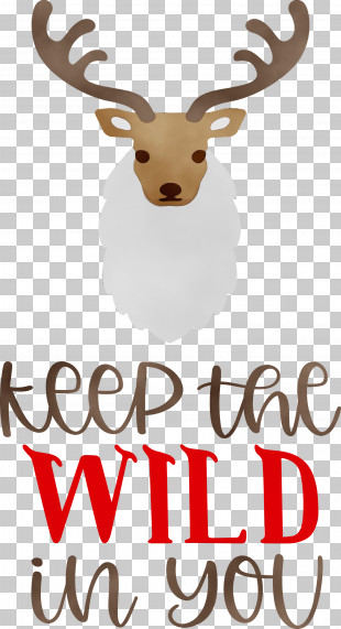 Reindeer PNG