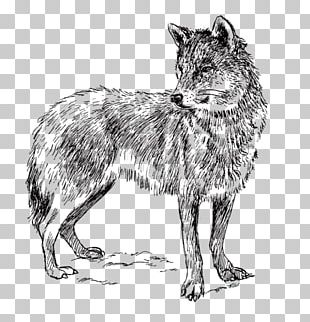 Wolf Avatar PNG, Clipart, Animal, Animals, Art, Artist, Decorative ...