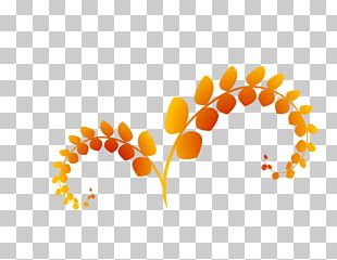 Leaf PNG