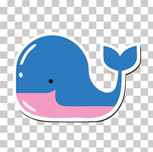 Cartoon Whale PNG