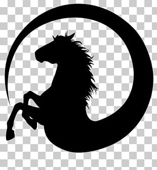 Horse Desktop Equestrian PNG